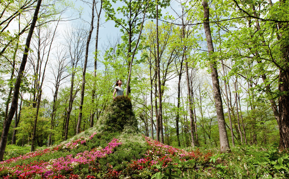 
The idea of Dress Garden was planned and carried out in a vast forest park in Tokachi Subprefecture, Hokkaido, as an entry for the Hokkaido Garden Show competition in 2012.
The continuous form, that grows out of the ground, allows you to climb up to the top, where you let yourself wrapped in a dress made out of forest vegetation. You may enjoy commemorating the time that you spend in the forest in the Garden Dress with your attendants.

translated by Tota Goya